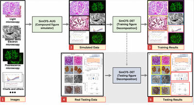 Compound Figure Separation of Biomedical Images: Mining Large Datasets for Self-supervised Learning cover file