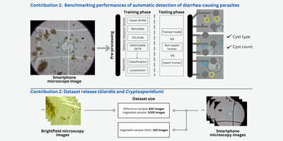 Deep-learning assisted detection and quantification of (oo)cysts of Giardia and Cryptosporidium on smartphone microscopy images cover file