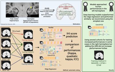 Automatic rating of incomplete hippocampal inversions evaluated across multiple cohorts cover file