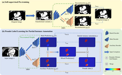 Weakly Supervised Lymph Nodes Segmentation Based on Partial Instance Annotations with Pre-trained Dual-branch Network and Pseudo Label Learning cover file