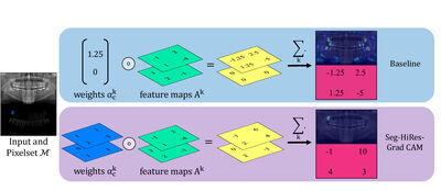 Leveraging CAM Algorithms for Explaining Medical Semantic Segmentation cover file