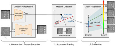 Counterfactual Explanations for Medical Image Classification and Regression using Diffusion Autoencoder cover file