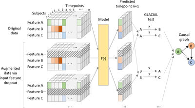 GLACIAL: Granger and Learning-based Causality Analysis for Longitudinal Imaging Studies cover file