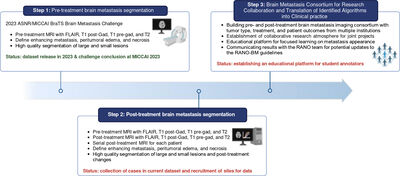 The Brain Tumor Segmentation (BraTS-METS) Challenge 2023: Brain Metastasis Segmentation on Pre-treatment MRI cover file