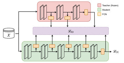 Preventing Shortcut Learning in Medical Image Analysis through Intermediate Layer Knowledge Distillation from Specialist Teachers cover file