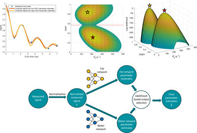 RAIDER: Rapid, anatomy-independent, deep learning-based PDFF and R2* estimation using magnitude-only signals, dual neural networks and training data distribution design  cover file
