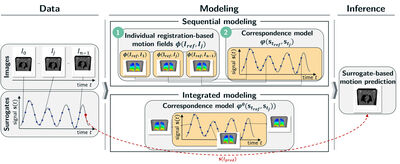 Biophysics-Enhanced Neural Representations for Patient-Specific Respiratory Motion Modeling cover file