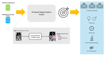 Robust Renal Mass Segmentation on CT: A Validation Study of an AI-Based Framework cover file