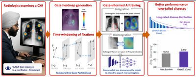 GazeLT: Visual attention–guided long-tailed disease classification in chest radiographs cover file