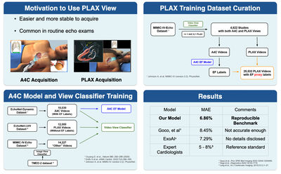 Learning from Scarce Labels: Multi-View Echocardiography for Ejection Fraction Prediction cover file