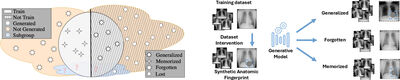 A Data-Interventional Framework for Auditing Privacy and Fairness in Generative Medical Imaging cover file