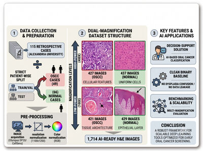 A Histopathological Image Dataset for Oral Squamous Cell Carcinoma and Normal Tissue Analysis cover file
