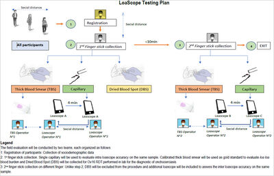 A multi-site loiasis dataset of whole blood videos cover file